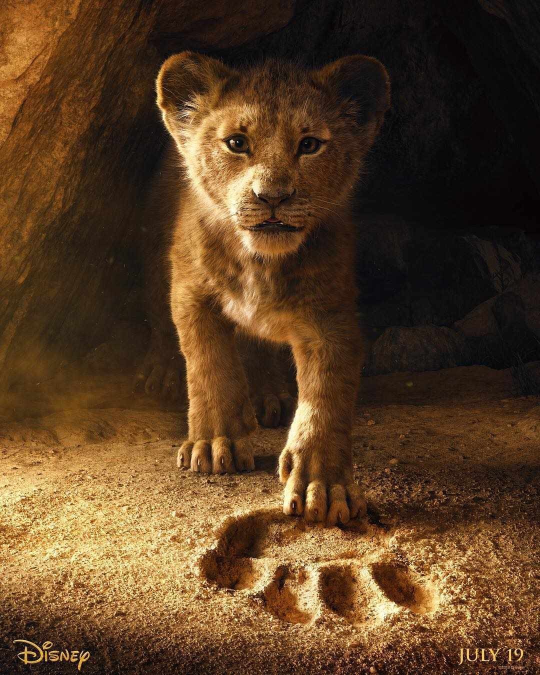 affiche web le roi lion